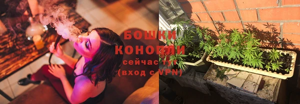дурь Тавда